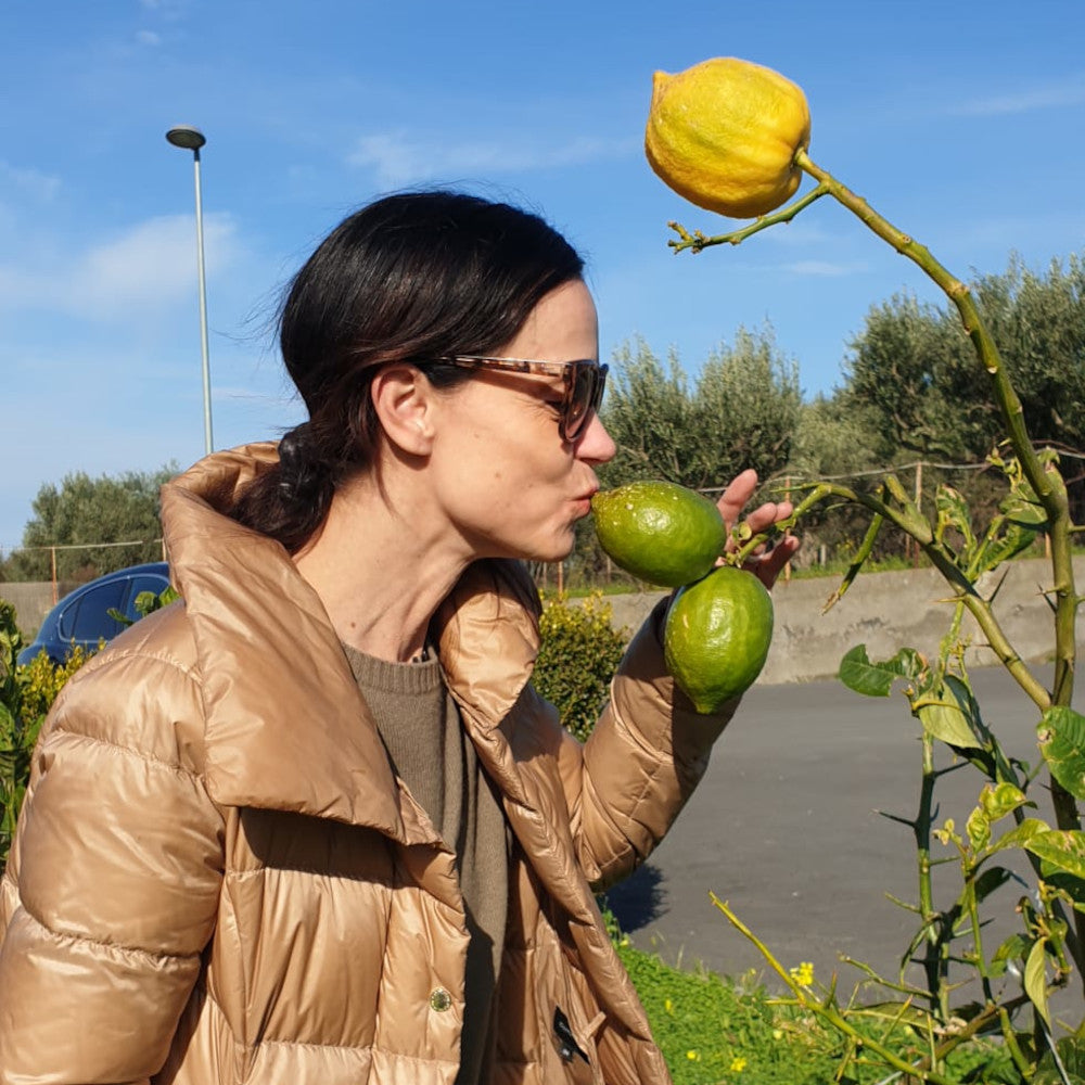 Kulinarische Besonderheiten mit den Aromen der grünen Cedro aus Kalabrien & Zitronen