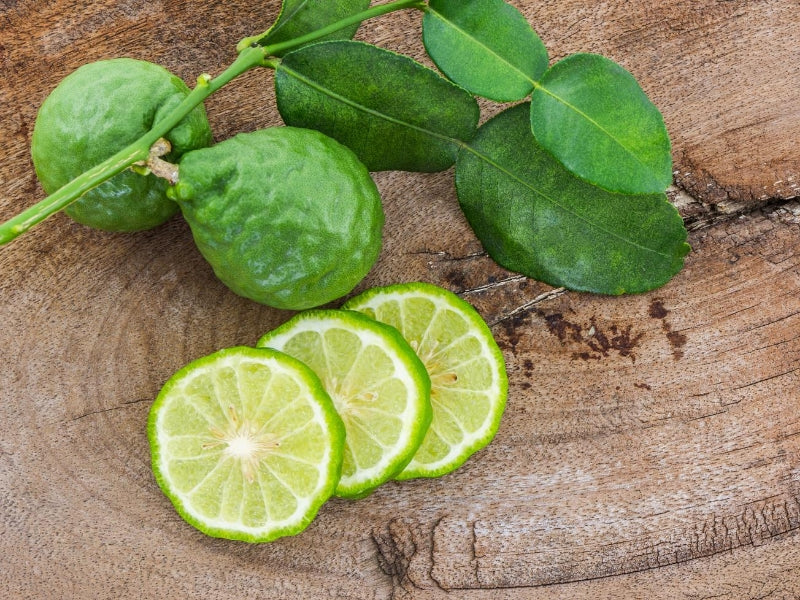 Brotaufstrich -Dreierlei Fruchtkompotte aus Kalabrien - Vegan & Bio - aus Bergamotte, Zitrone und Blutorange