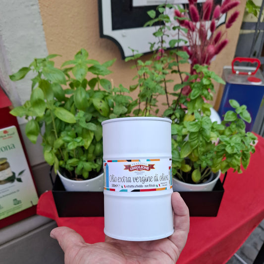 Natives Olivenöl Extra Vergine aus Ligurien - 500 ml. LIMITIERT