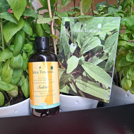 RAUMDUFT FÜR IHR ZUHAUSE  250ml SALVIA - REFILL - SALBEI  ROOM FRAGRANCE 250ml IDEA TOSCANA FIESOLE - TOSKANA
