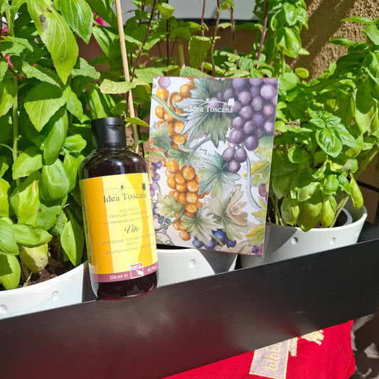 RAUMDUFT FÜR IHR ZUHAUSE  250ml REFILL "TRAUBE" - GRAPEVINE ROOM FRAGRANCE 250 ml REFILL BTL. whit a Precious Blend of Essential Oil,  IDEA TOSCANA FIESOLE - TOSKANA