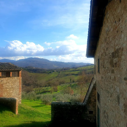 Natives Olivenöl Extra Vergine Trebbio "BIODINAMIC" - Scarperia (FI) Italy