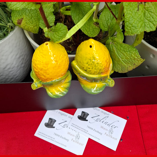 Keramik Salz- & Pfefferstreuer - in Italien handgemacht & handgemalt, "Limoni" ("Zitronen")