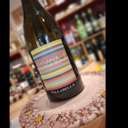 Wein - Weißwein Lugana doc 2024, Kellerei Villabella - Bardolino am Gardasee