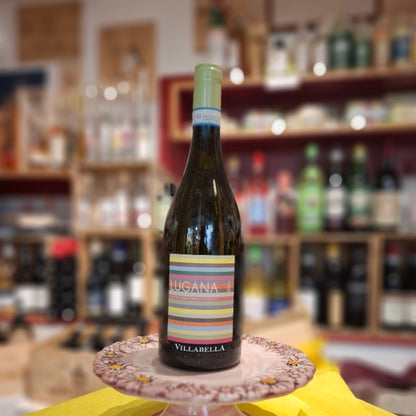 Wein - Weißwein Lugana doc 2024, Kellerei Villabella - Bardolino am Gardasee